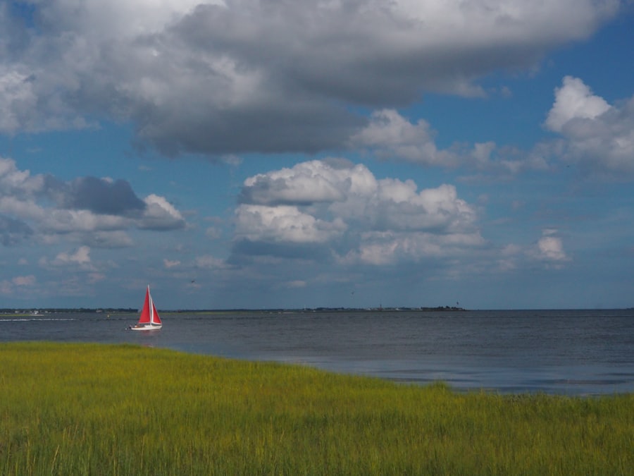 Charleston Harbor Dolphin & Sunset Cruise