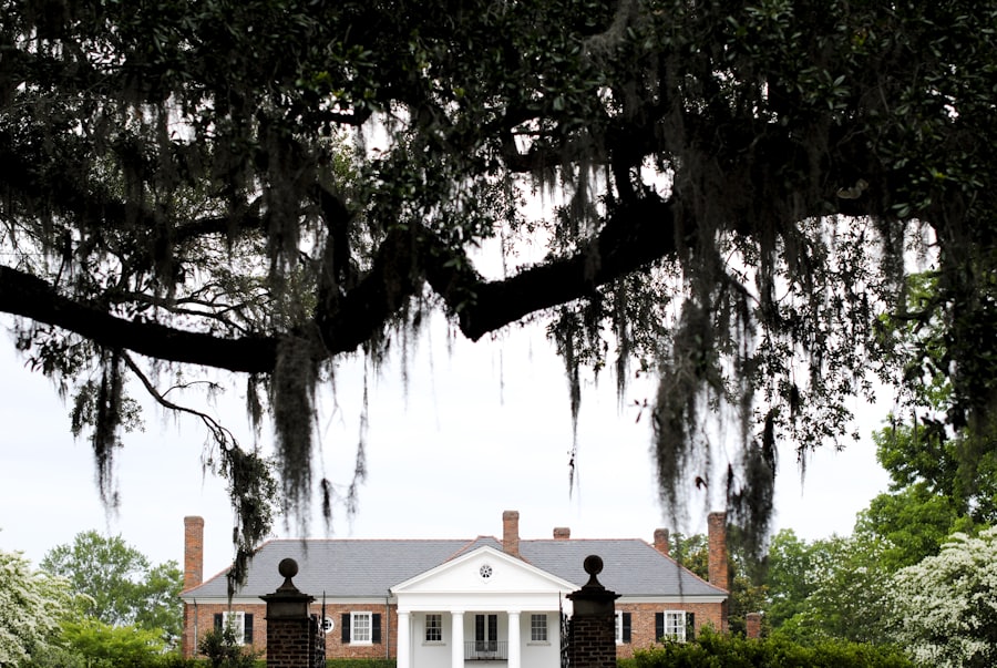 Drayton Hall